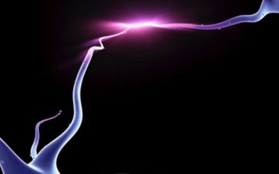 Financement du projet SPARK DigitComp