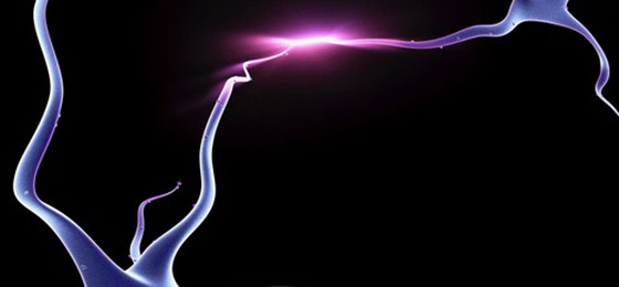 Financement du projet SPARK DigitComp